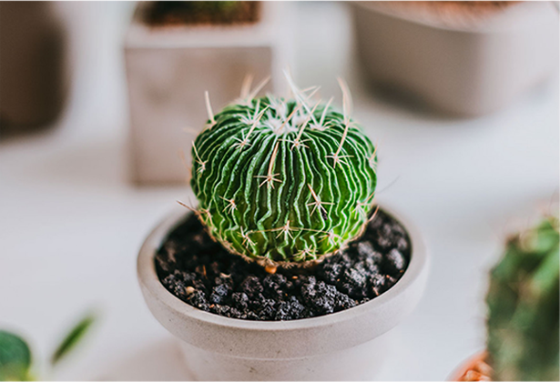 Imported Connectors in Refrigerator Wiring Harnesses