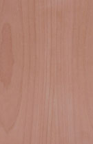 Red Oak - Laminated Plywood