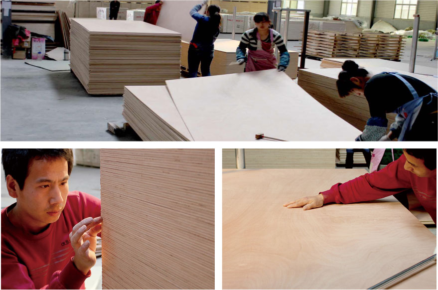 Commercial Plywood Sheet